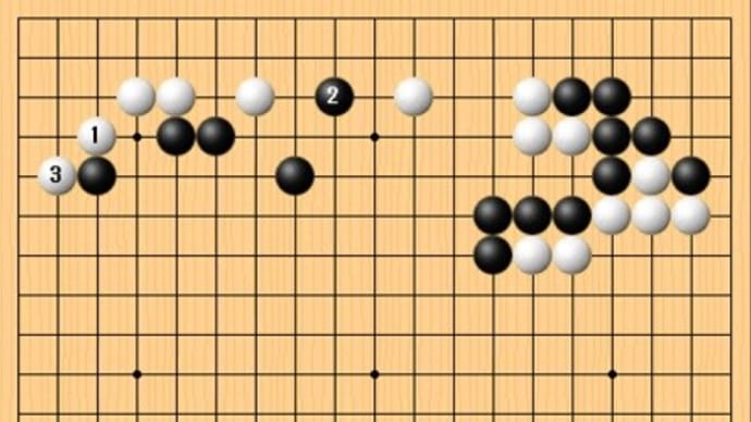 本因坊戦第2局1日目