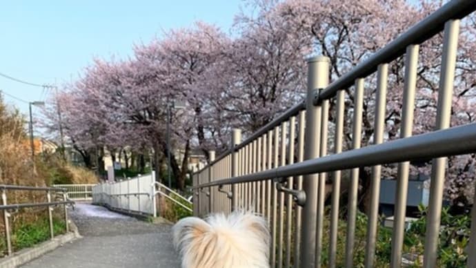 友だちできたかも