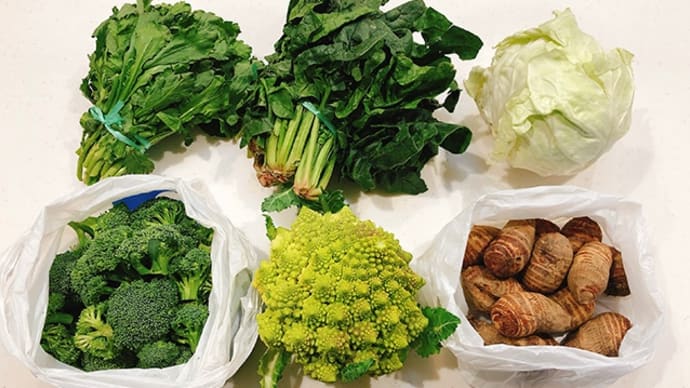 実家から、お野菜と食品が いろいろ届きました ♪