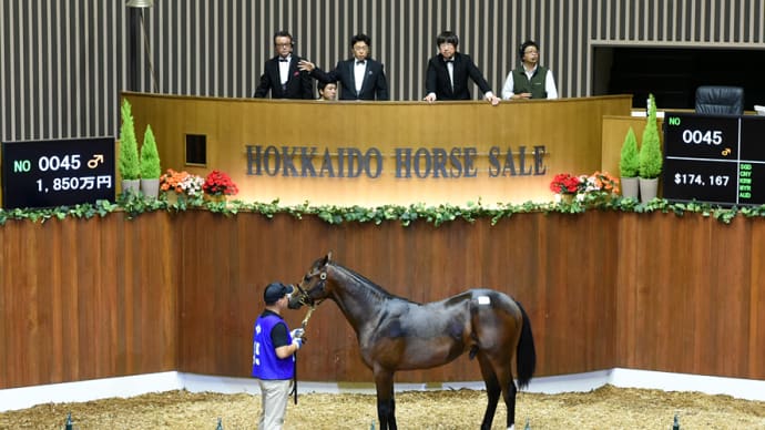 セレクションセール出身馬【ナリタミニスター(Narita Minister)】が「兵庫ウインターC(4歳上重賞)」を優勝
