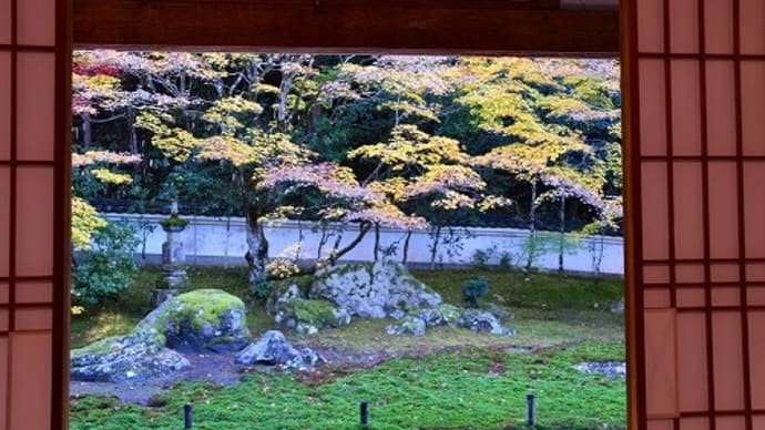 出石町 宗鏡寺 紅葉