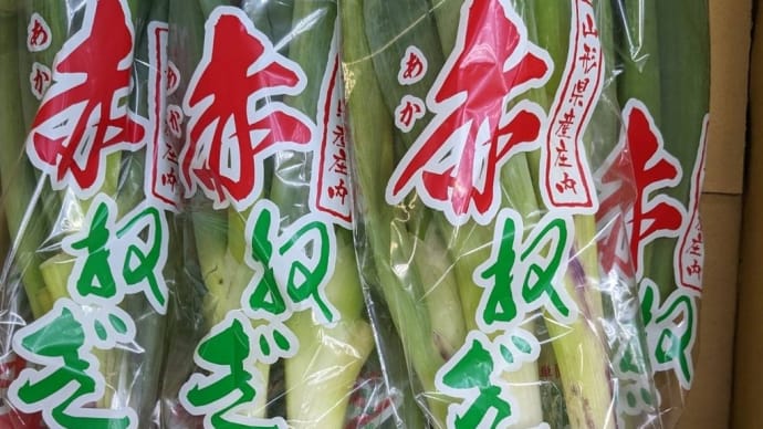 赤ねぎ