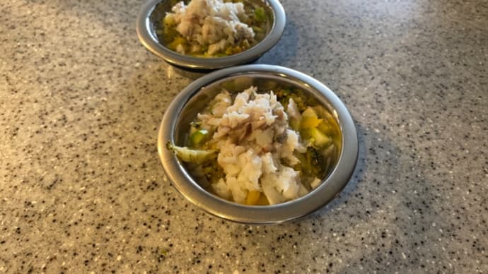 犬ごはん:MARNIの食べ残しを狙うティちゃん