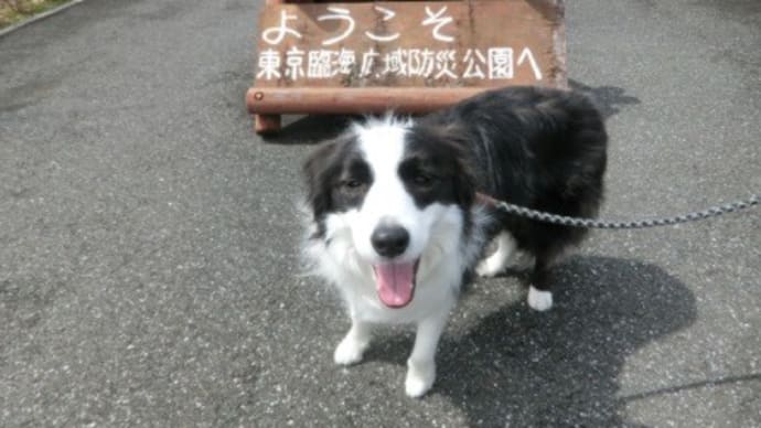 インターペット2022 行ってきました