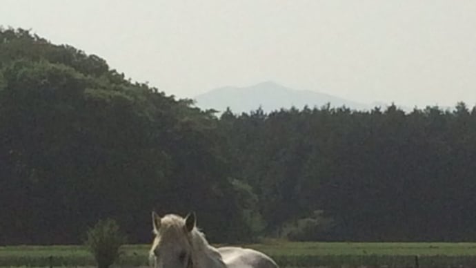 生まれました❣️