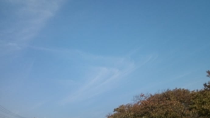 親バカ全開