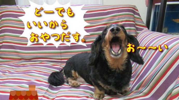 予防接種の時期ですが、待合室大丈夫かな?