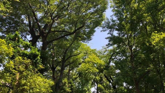 川崎市にある動物公園と川崎デルタ