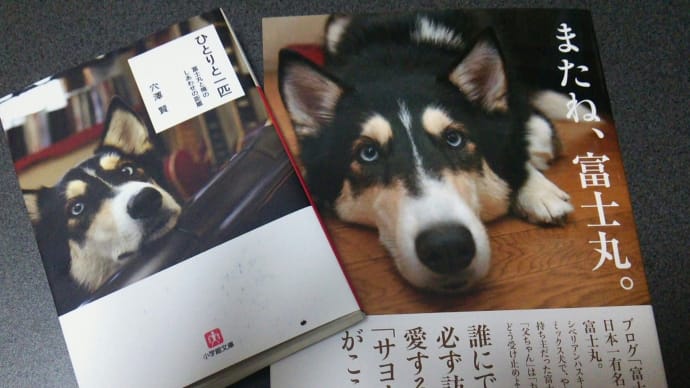 『またね、富士丸。』穴澤 賢 著、世界文化社、2010.11.1 ほか１冊