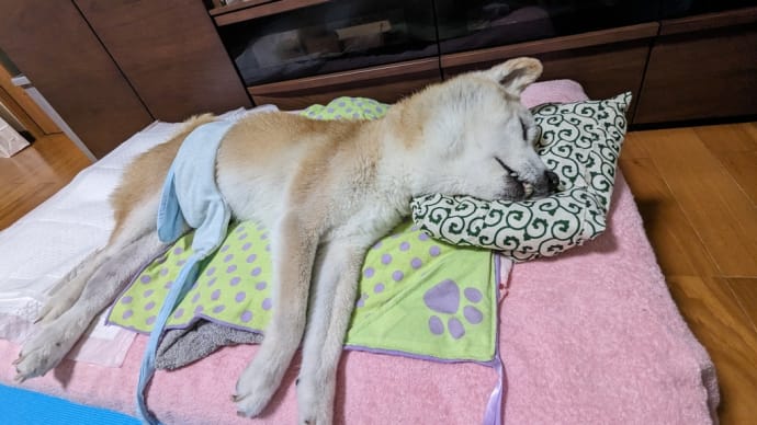 暑がったり寒がったり😅