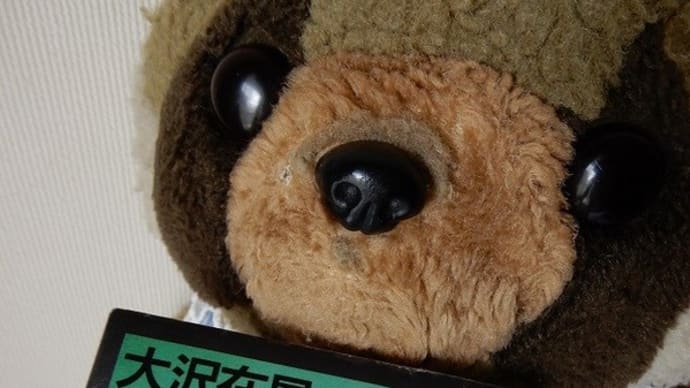 蛍が出てくる小説・６『雪蛍』（大沢在昌）
