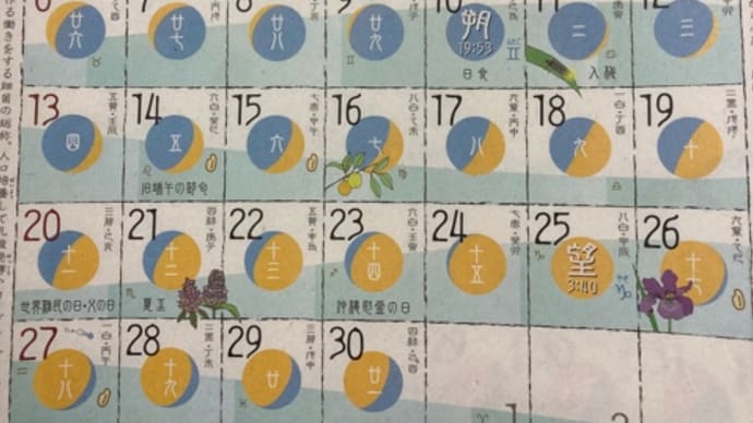 ◉6月の出没予定です 2021◉