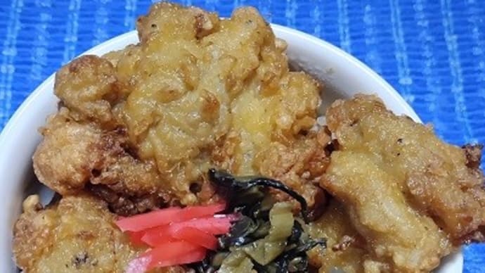 【03/17昼食】桜島鶏もも唐揚げ、これで残りも食べきったんだね：D