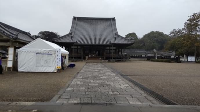 どうする家康　聖地巡礼