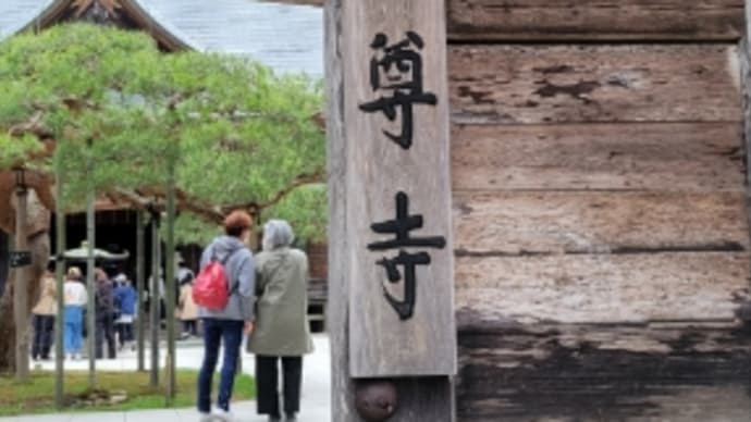東北旅 2022年GW (観光編)