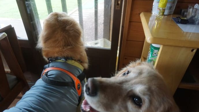 お出掛けの時の水飲み問題