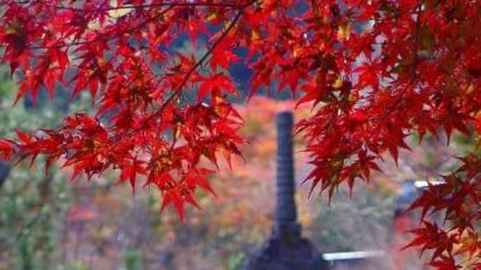 亀岡・鍬山神社に参拝しました。