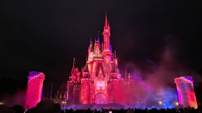 Reach for the Stars(東京ディズニーランド)はとてもオススメ!