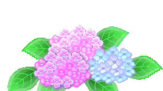 ベリーの収穫