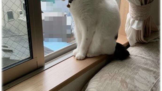 雨・・・ですか