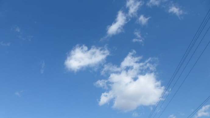 ジョー君が近づいてきました。次回こそ、いい写真を・・