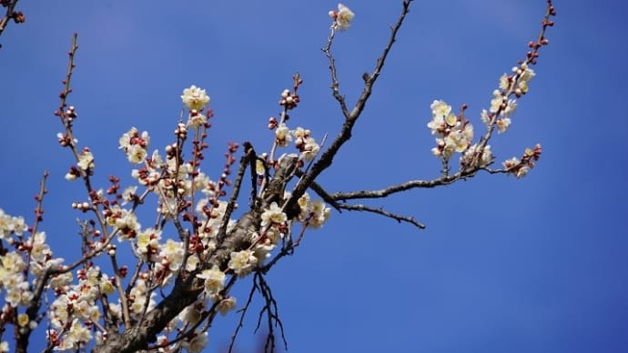 3カ月毎に、私たち夫婦は早起きして、やがて我が家を出て・・。