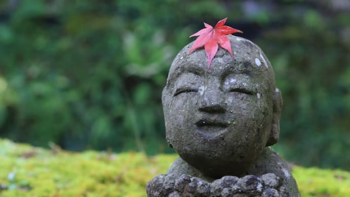 京都大原三千院 苔の上のわらべ地蔵様