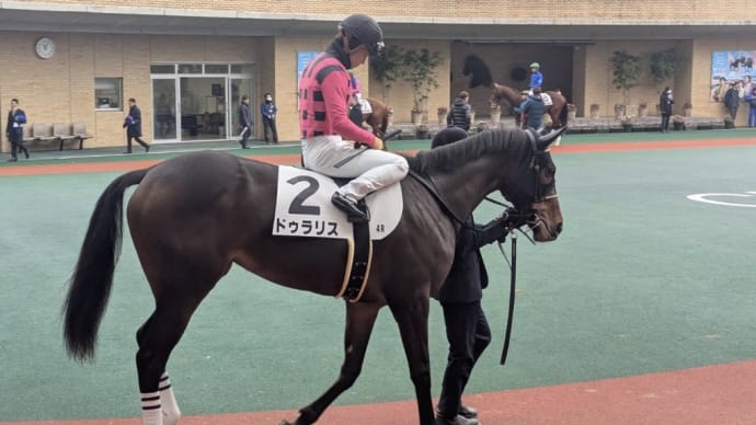 愛馬ドゥラリス新春競馬4着健闘!!