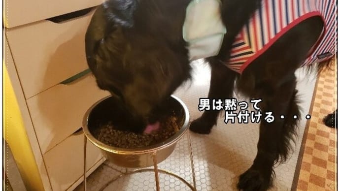フードの片付け