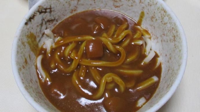 質素に少量-今日も元気 カレーうどん、ソーセージ、パスタ、チャプチェ、味噌煮込みうどん、キウイ等