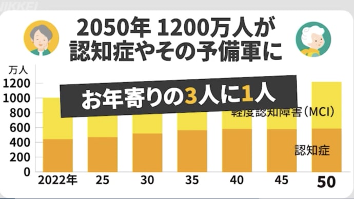 老後の生活支援と額(条件もある)
