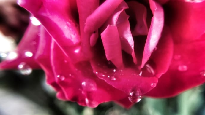 魅惑的な〜雫💧