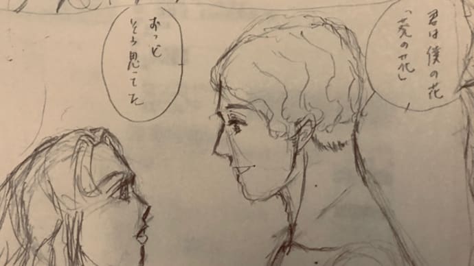 葵の花