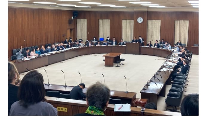 参議院の行政監視委員会です。(2023/11/15)