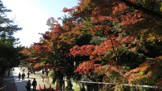 寄り道北鎌倉　円覚寺紅葉　境内