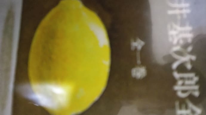 修論+α備忘録