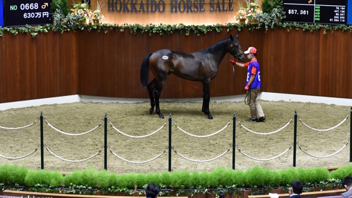 サマーセール出身馬【ベルピット(Bell Pit)】が「コスモバルク記念(3歳上重賞)」を優勝
