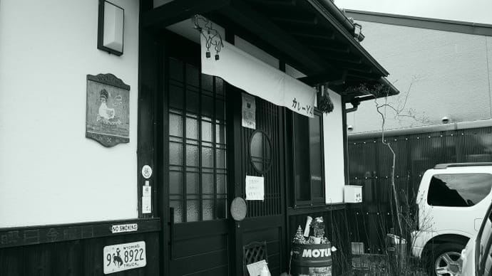 カレーyaさんのホルモンエッグカレー