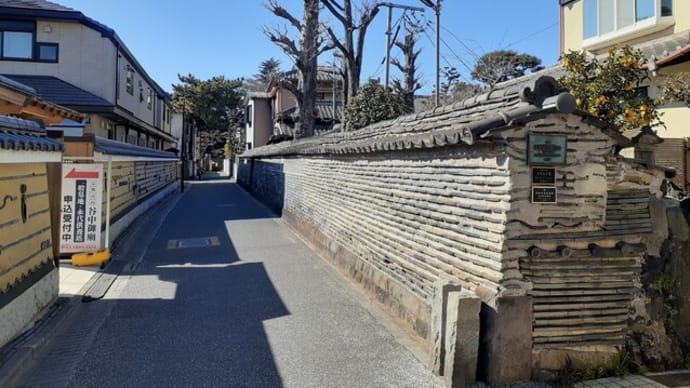 早春の谷中築地塀