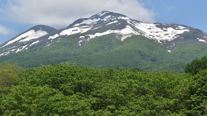 岩木山の麓の植物、生き物、小鳥