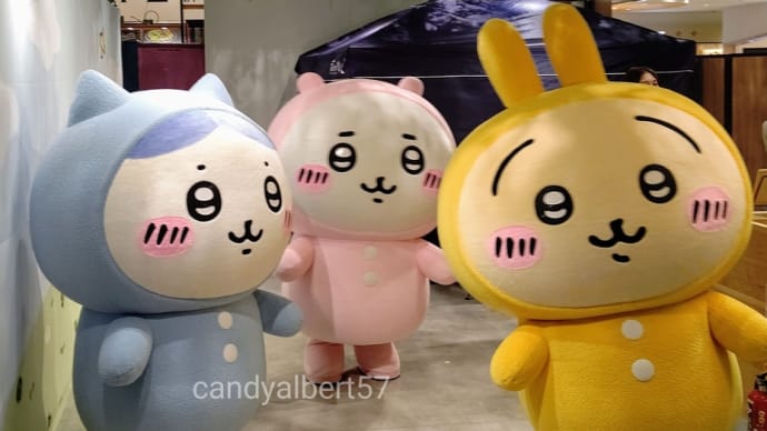 ちいかわに会いに💗