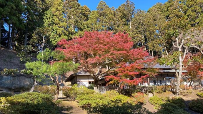 ここにも紅葉の庭が 松島　瑞巌寺　宮城