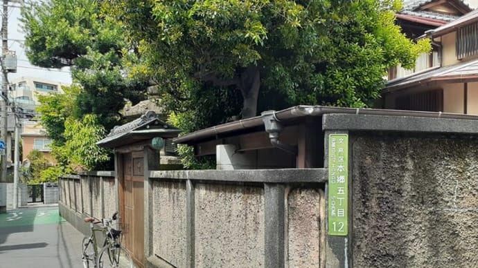「鳳明館別館」の在る風景