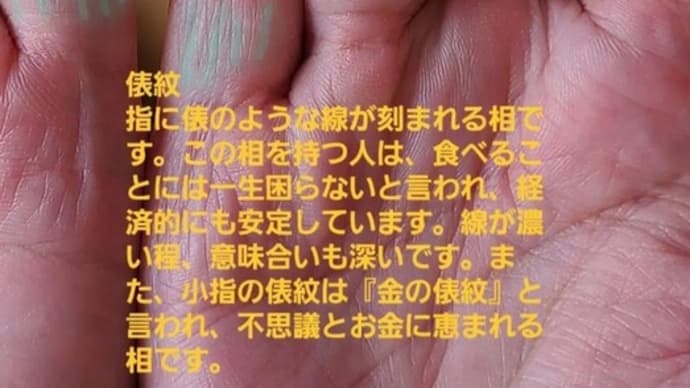 あると嬉しい『俵紋』『財運線』『太陽線(2種)』