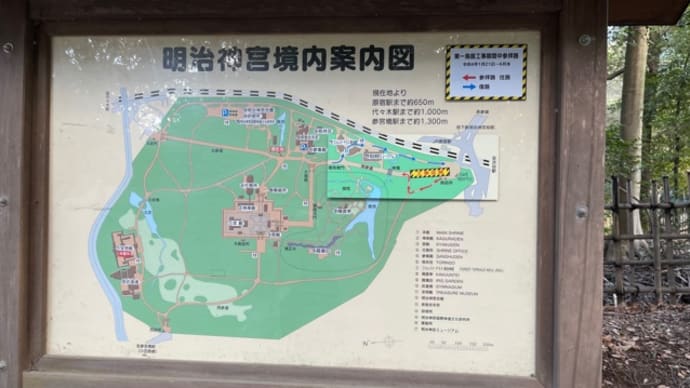 明治神宮は空気が綺麗だった