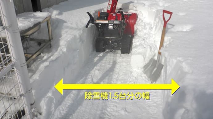 【 2/9(日) ドッグランで『ナイトハイク』&『かまくら』 】