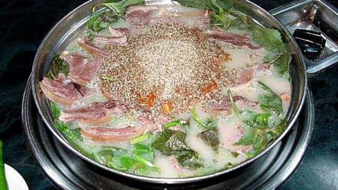 ポシンタン。金野浩一です。
