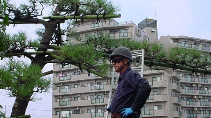 植木の手入れ