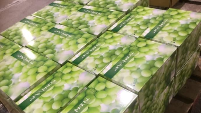 高松中央卸売市場【高松青果株式会社】個選相対高値取引㊗️お嫁入りは三越デパ地下