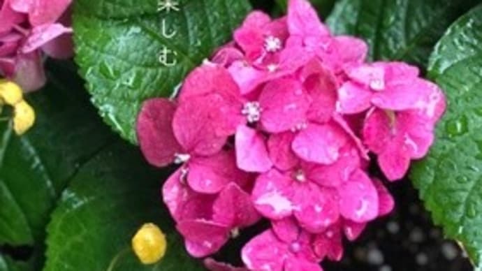 自宅ショップの商品紹介インスタでさせて頂きます! 生地福袋お引き取り限定2,222円で販売中